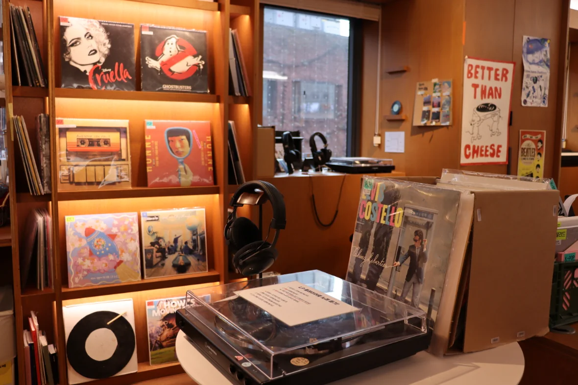 아날로그 음악 감상(CD, LP 등)